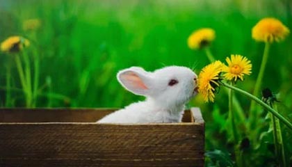 恒大汽车：上半年净亏损合计人民币202.57亿元