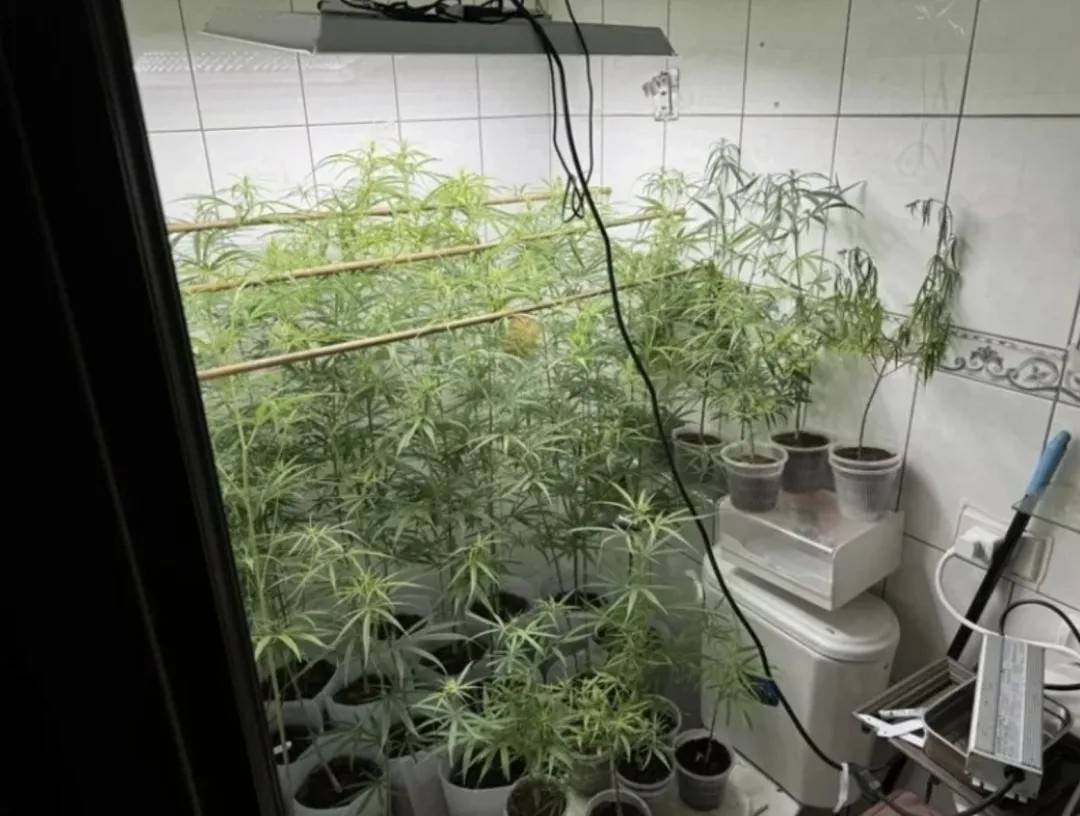 “丧尸”毒品在台湾泛滥，军人、警察也在吸！