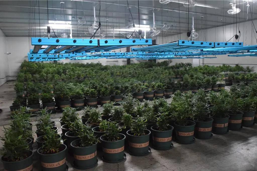 “丧尸”毒品在台湾泛滥，军人、警察也在吸！