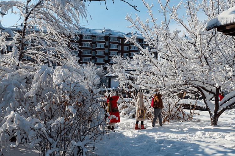 今日大雪:仲冬时节开始 北方降雪增多寒彻骨 南方降雨为主