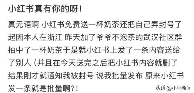 冲上热搜！多用户吐槽小红书“无理由封号”，官方回应
