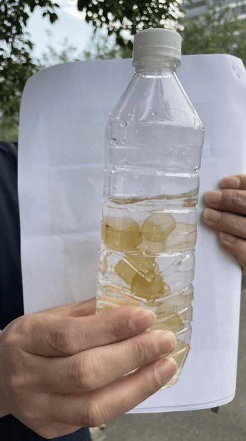 海边密集出现“爆爆珠”?广州、深圳等多地发布提醒