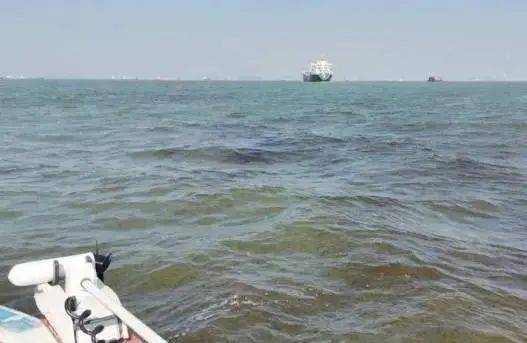 海边密集出现“爆爆珠”?广州、深圳等多地发布提醒