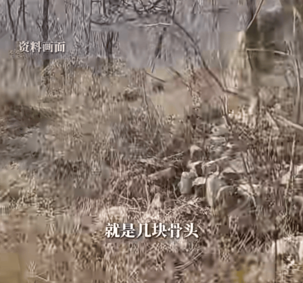 山东淄博一男子上山采药发现人体骸骨！官方回应