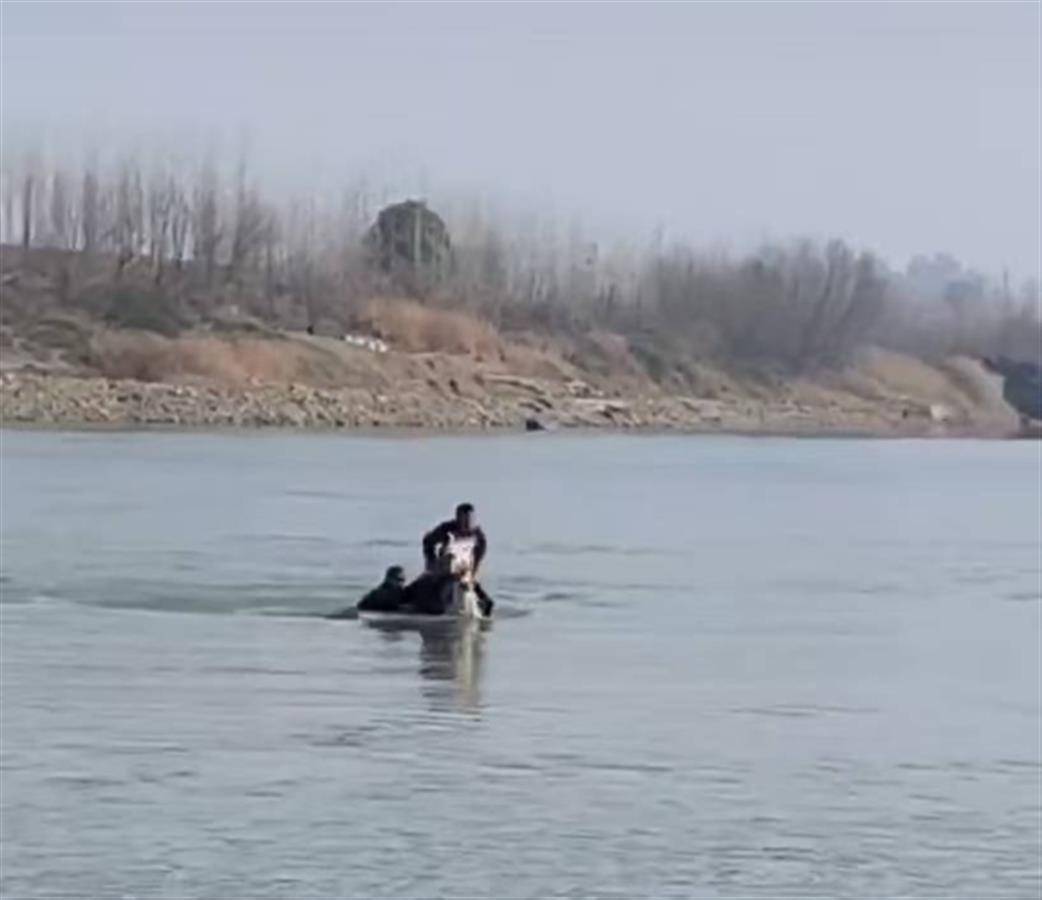 入江救人的白龙马走了，但挺身而出的侠义永远激荡人心