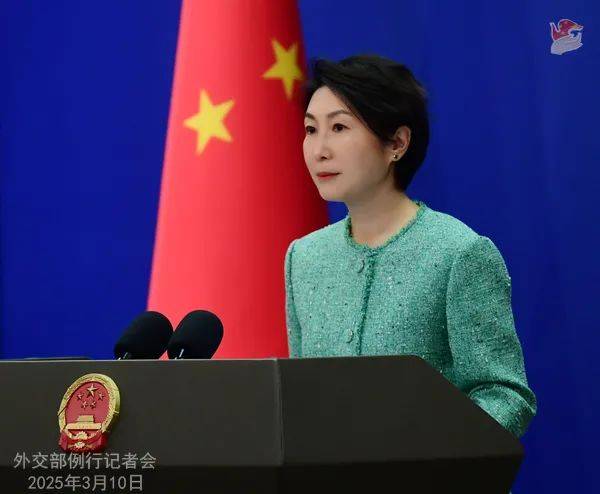 外交部新闻（2025年3月11日）