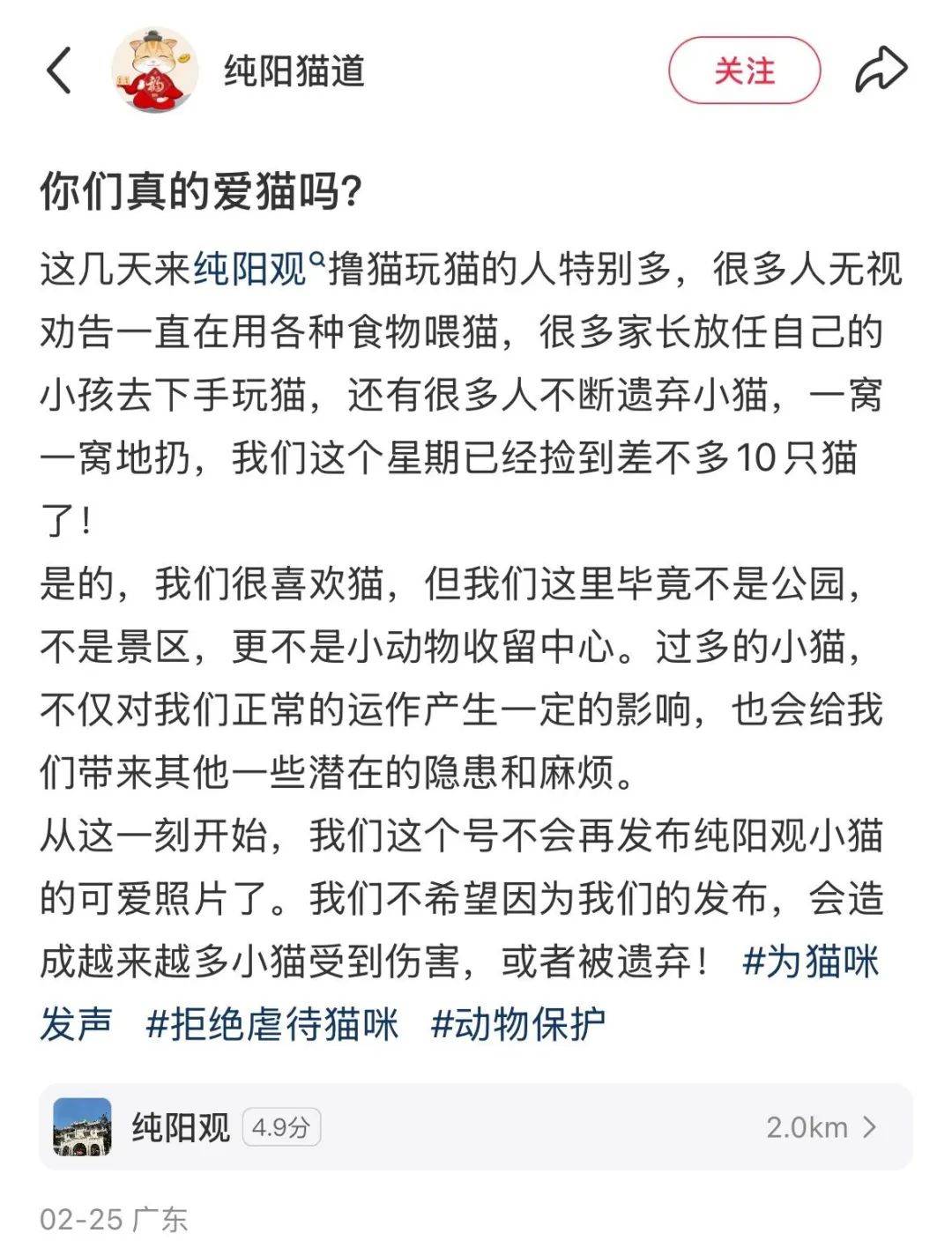 去寺庙吸猫的年轻人，把猫盘出了班味