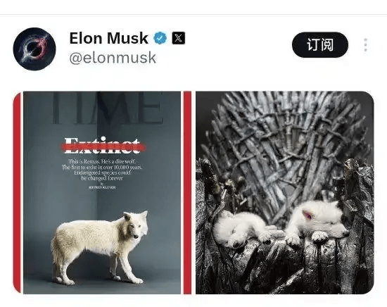 《权力的游戏》中的冰原狼被这家公司复活，马斯克发帖关注