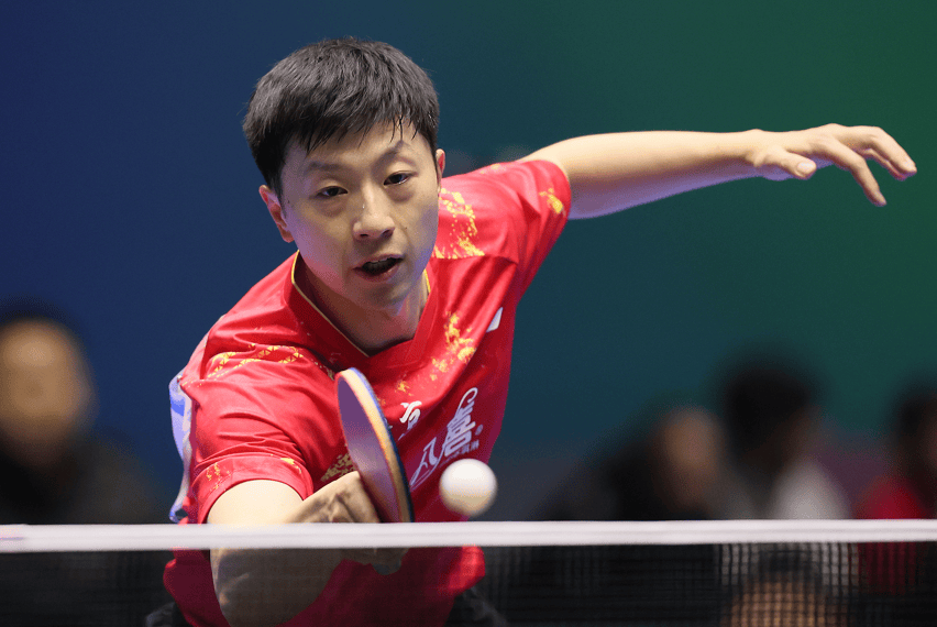 马龙、樊振东、陈梦，确认不参加多哈世乒赛