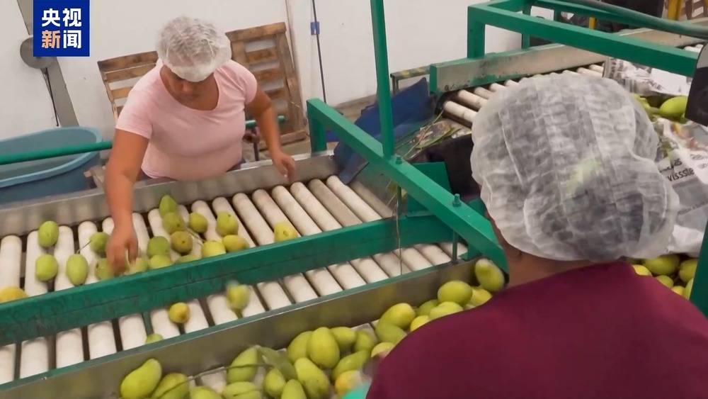 洛杉矶惊现新兵种 两大因素引爆加州“内战”升级