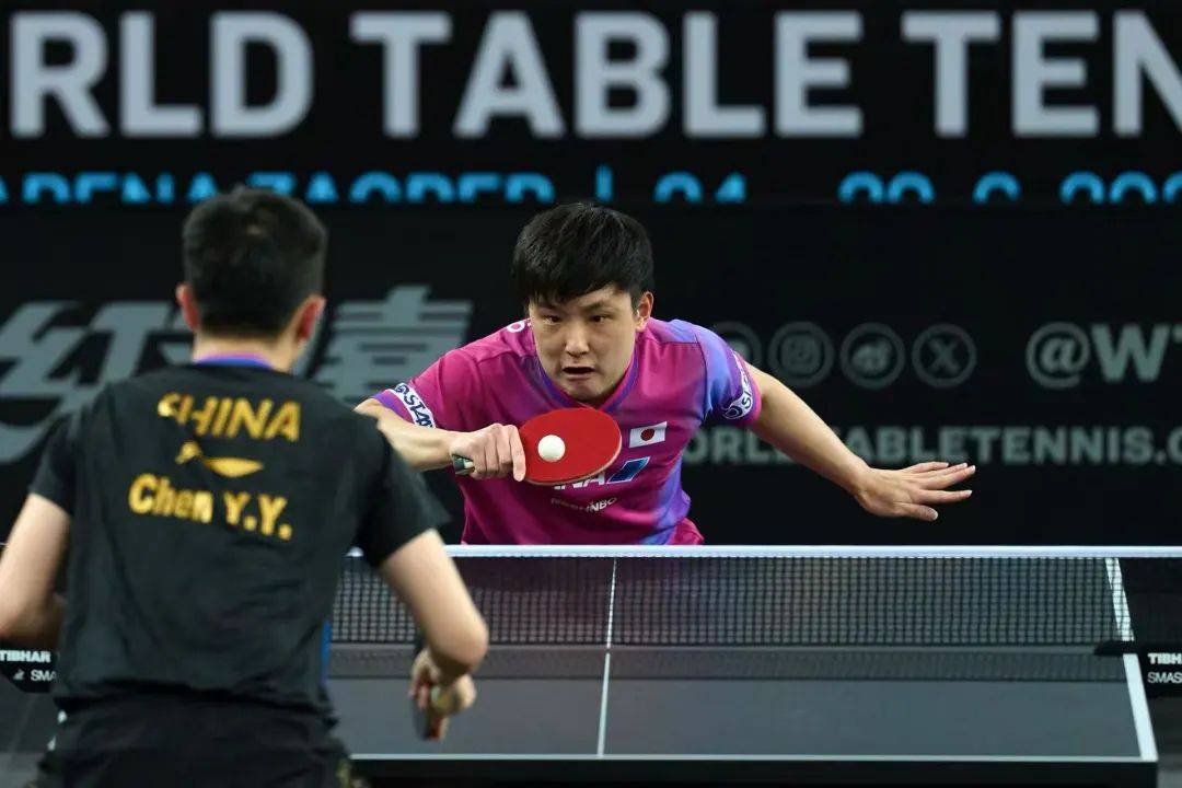 张本智和、大藤沙月单打夺冠 | WTT常规挑战赛萨格勒布站