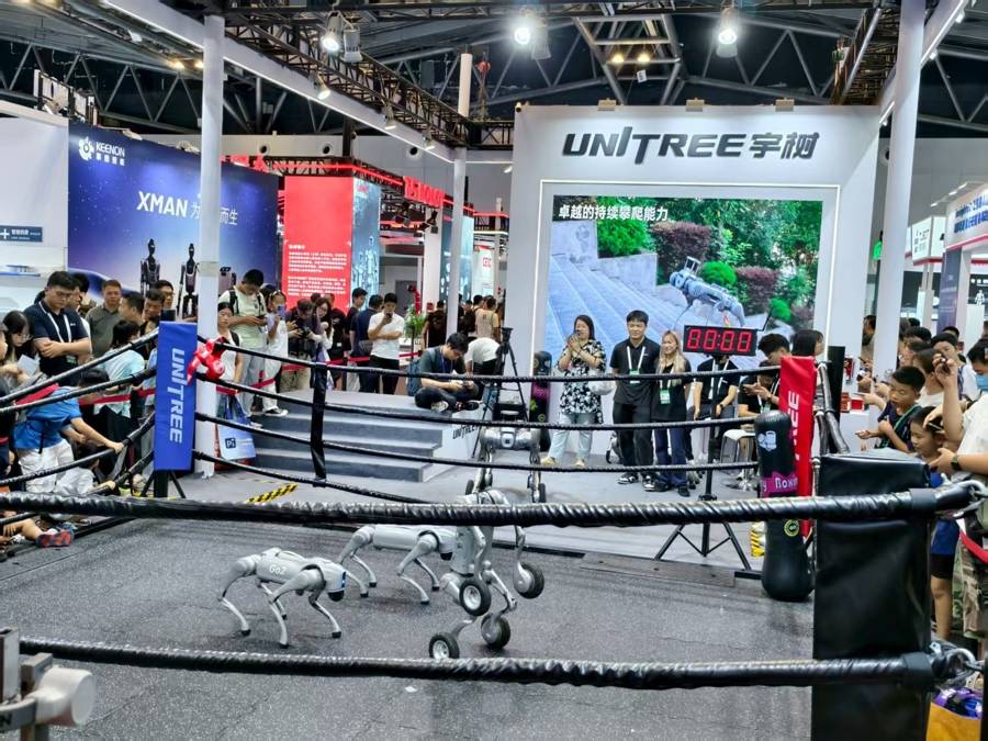 AI的战场年轻人“集结”，敢想敢拼乘风破浪