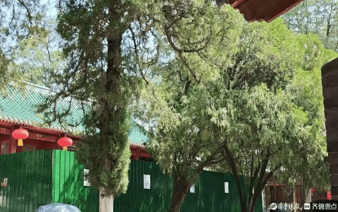 少林寺新变革：网传推行“佛门996”后数十和尚离职 收费项目消失