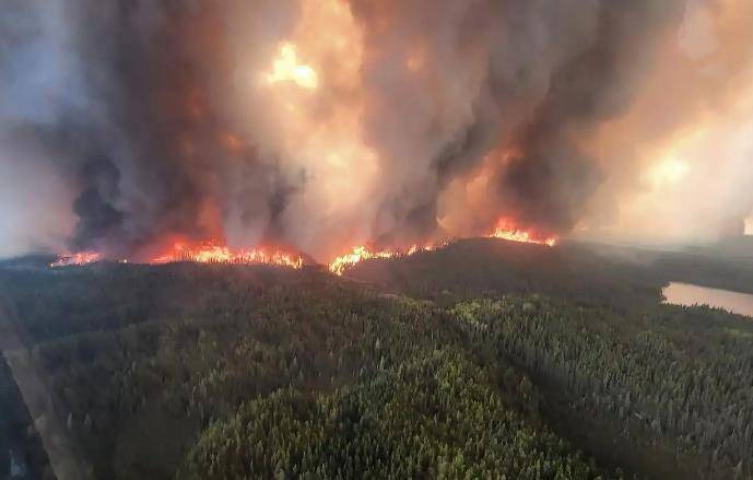 加拿大西部林火的罪魁祸首，竟是一条“空降”鱼！
