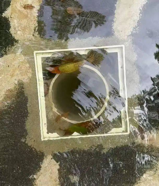 绝望14分钟！6岁女童被牢牢吸住身亡，妈妈在旁拼尽全力却救不回