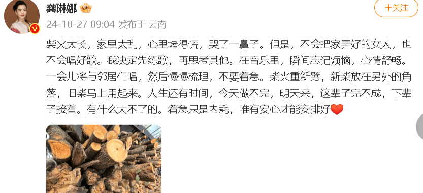 考古|龚丽娜新书首谈20年婚姻破碎!男方禁止她叫老公,还疑婚内爱上奥地利少妇