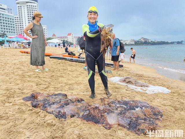 今年青岛海蜇有点多？有人一天捞上1000多斤，“最大海蜇王”超过300斤