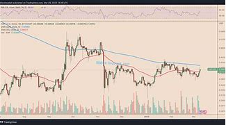 2022年瑞波币最近动态(瑞波币2020年的价格最新分析)