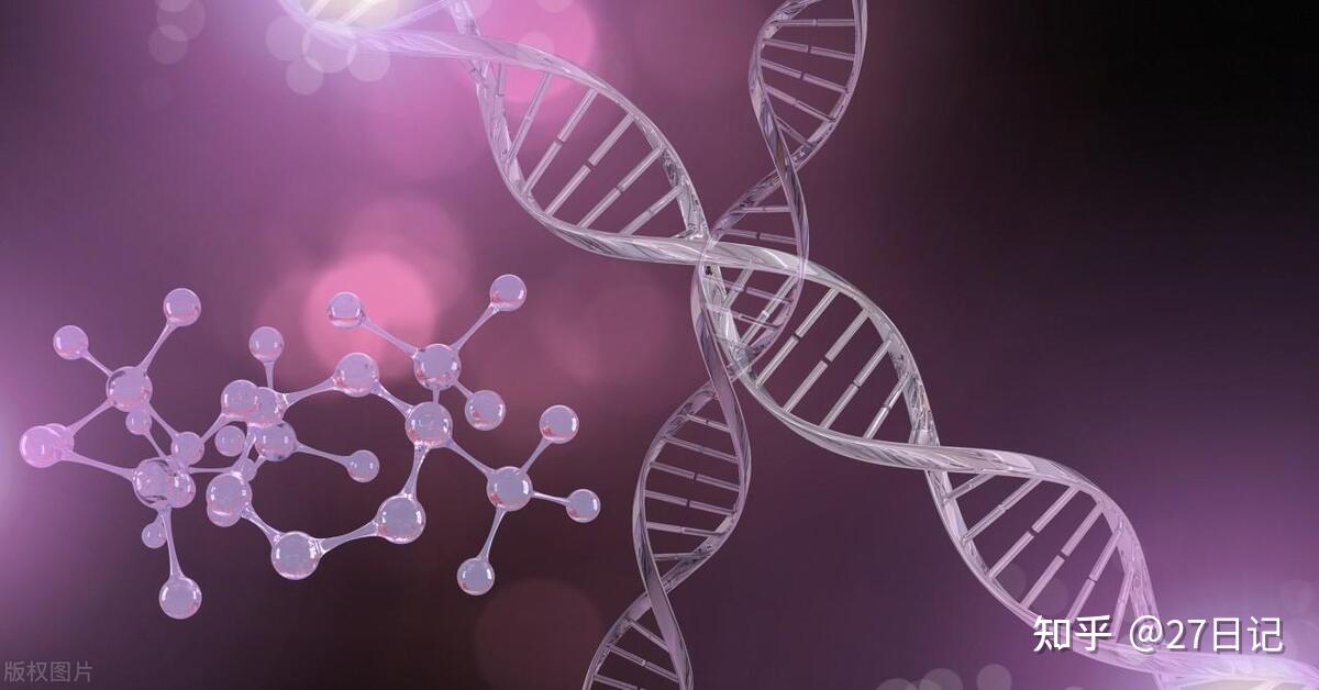 瑞波基因币的最新价格(xrp和xag币之间关系)