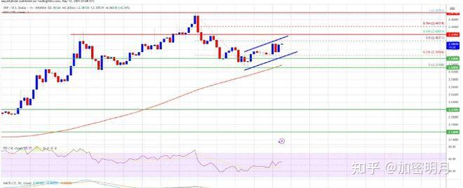 xrp瑞波币官司会赢吗(xrp瑞波币还会涨到30吗)